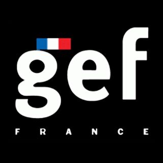 Logo Gef - Sodimco Internacional